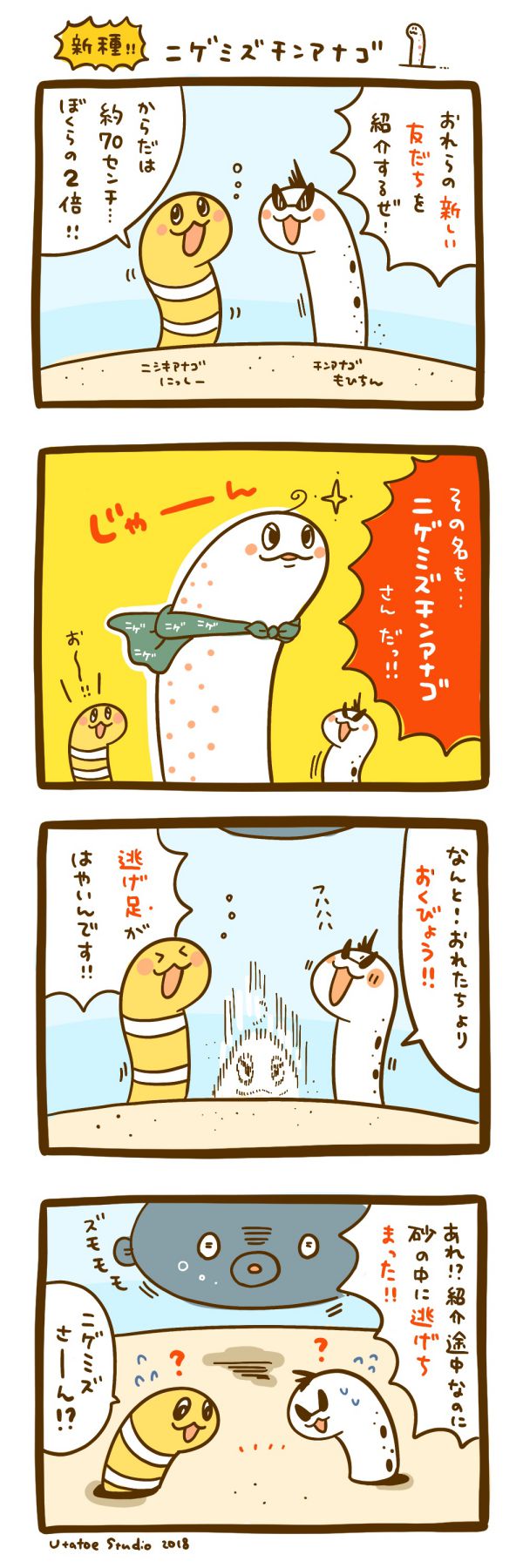 新種！！ニゲミズチンアナゴ｜ちんあなごのうたオフィシャルホームページ